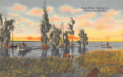 Fresh-Water Fishing in Picturesque Florida, USA Postcard