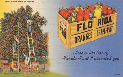 Here is the Box of Florida Fruit I promied you Postcard