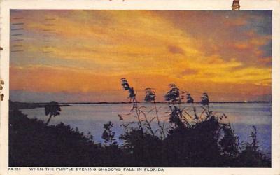 When The Purple Evening Shadows Fall in Florida, USA Postcard