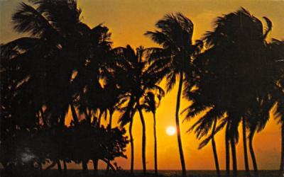 A magnificent Florida sunrise, USA Postcard