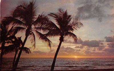 Sun On The Horizon in Florida, USA Postcard