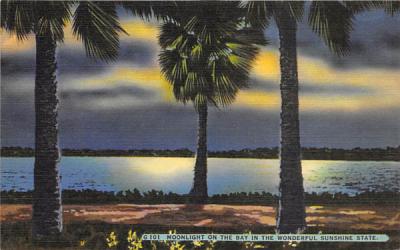 Moonlight on the Bay in the Wonderful Sunshine State Misc, Florida Postcard