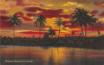 Evening Shadows in Florida, USA Postcard