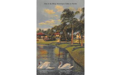 One of the Many Picturesque Lakes in Florida, USA Postcard