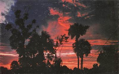 Brilliant start of a new day in beautiful Florida, USA Postcard