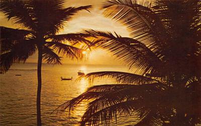 A Florida Sunset, USA Postcard