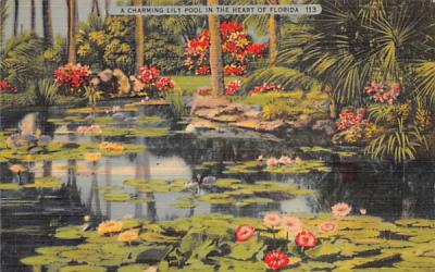A Charming Lily Pool in the Heart of Florida, USA Postcard