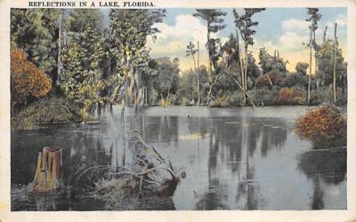 Reflections in a Lake Misc, Florida Postcard