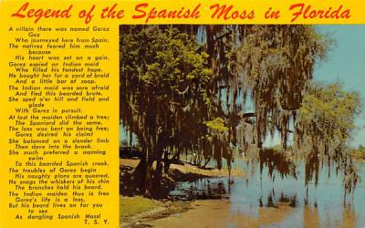 Legend of the Spanish Moss in Florida, USA Postcard