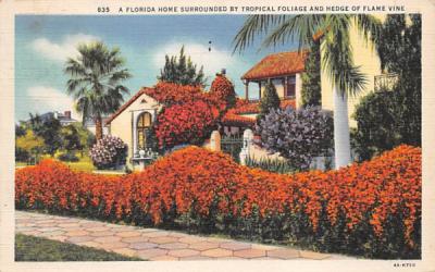 Surrounded by Tropical Foliage, Hedge of Flame Vine Misc, Florida Postcard