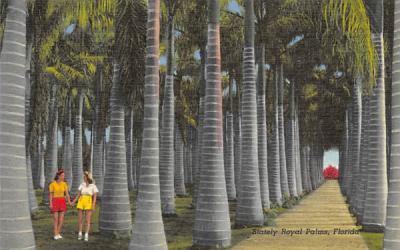 Stately Royal Palms, FL, USA Misc, Florida Postcard