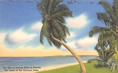 The Sky is always Blue in Florida, USA Postcard