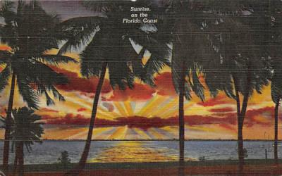 Sunrise on the Florida Coast, FL, USA Postcard