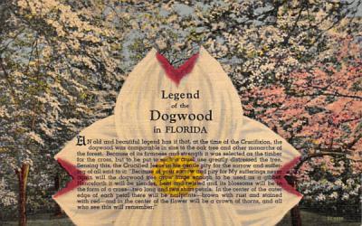 Legend of the Dogwood Misc, Florida Postcard