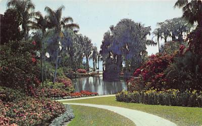 Tropical Vegetation in Florida, USA Postcard