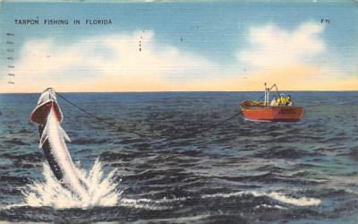Tarpon Fishing in FL, USA Misc, Florida Postcard