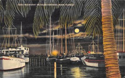 Moonlight on the Waterfront Miami, Florida Postcard