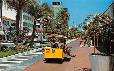Exotic Lincoln Mall Miami, Florida Postcard