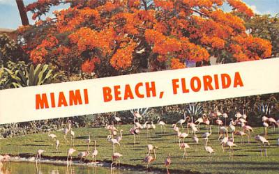 Miami Beach, FL, USA Florida Postcard