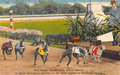 West Flagler Kennel Club Miami, Florida Postcard