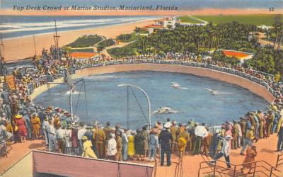 Top Deck Crowd at Marine Studios Marineland, Florida Postcard