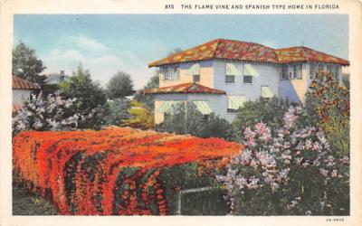 Flame Vine and Spanish Type Home in Florida, USA Postcard