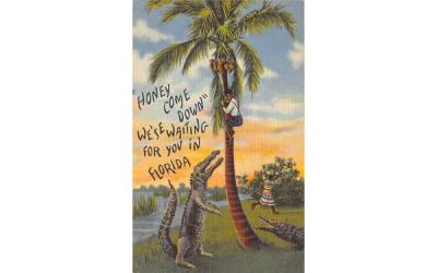 We'se Waiting for you in Florida, USA Postcard