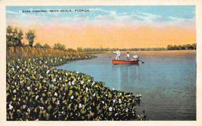 Bass Fishing Misc, Florida Postcard