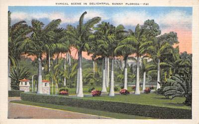 Typical Scene in Delightful Sunny Florida, USA Postcard