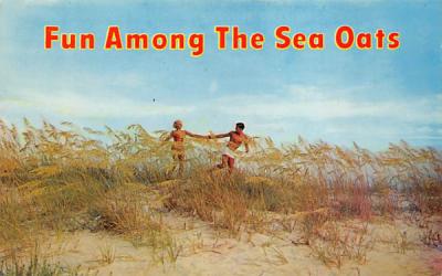 Fun Among the Sea Oats Misc, Florida Postcard