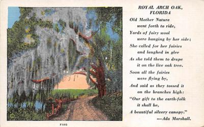 Royal Arch Oak, FL, USA Misc, Florida Postcard