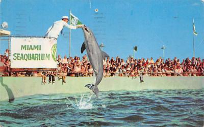 Miami Seaquarium Florida Postcard