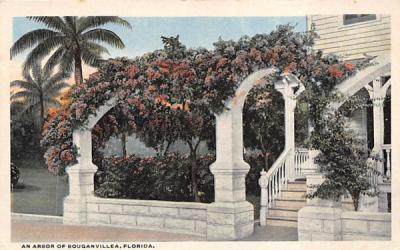 An Arbor of Bouganvillea, FL, USA Misc, Florida Postcard