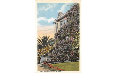 Roses and Bouganvillea, FL, USA Misc, Florida Postcard