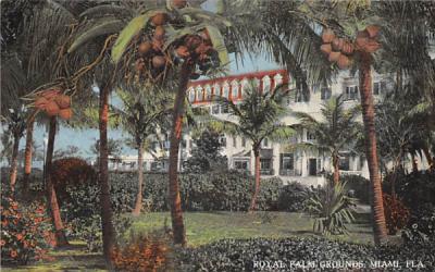 Royal Palm Grounds Miami, Florida Postcard