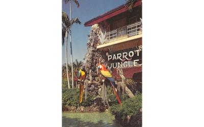 Entrance to Miami's fabulous Parrot Jungle Florida Postcard