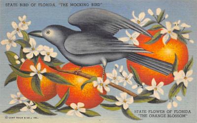 State Bird of Florida, 