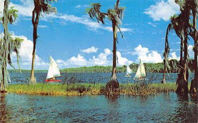 Typical of the beauty of many lakes in Florida, USA Postcard