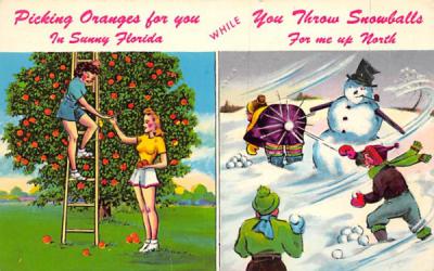 Picking Oranges for you in Sunny Florida, USA Postcard