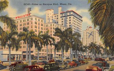 Palms on Biscayne Blvd. Miami, Florida Postcard