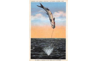 Hooked, But Gamely Fighting in Florida Waters Postcard