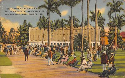 Totalisator Board and View of the Paddock Miami, Florida Postcard