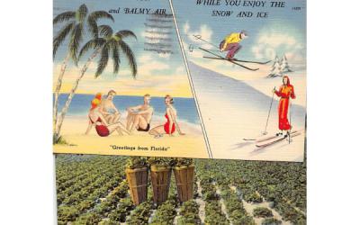 The Climate in Florida rivals the Italiam Riviera Postcard