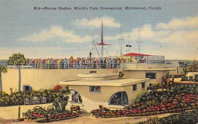 Marine Sudios, World's Only Oceanarium Marineland, Florida Postcard
