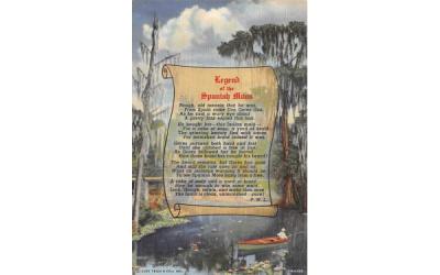 Legen of the Spanish Moss Misc, Florida Postcard