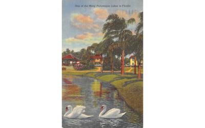 One of the Many Picturesque Lakes in FL, USA Misc, Florida Postcard