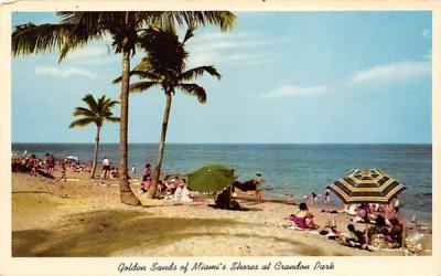 Golden Sands of Miami's Shores at Crandon Park Florida Postcard