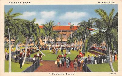 Hialeah Park Miami, Florida Postcard
