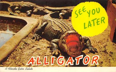 A Florida Gator Salute Postcard