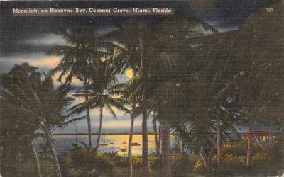 Moonlight on Biscayne Bay, Coconut Grove Miami, Florida Postcard